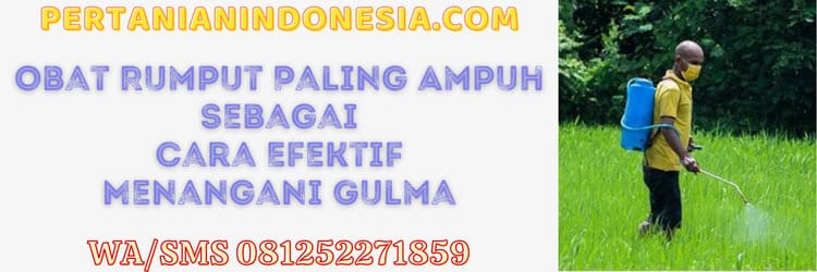 obat,obat rumput,gulma,rumput liar,petani